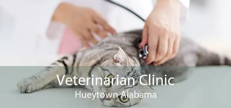 Veterinarian Clinic Hueytown Alabama