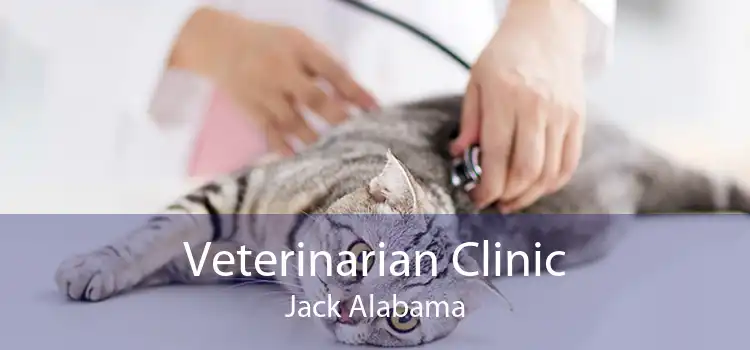 Veterinarian Clinic Jack Alabama