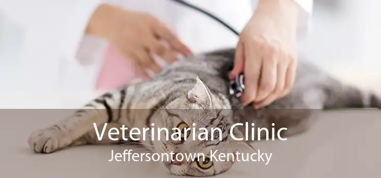 Veterinarian Clinic Jeffersontown Kentucky