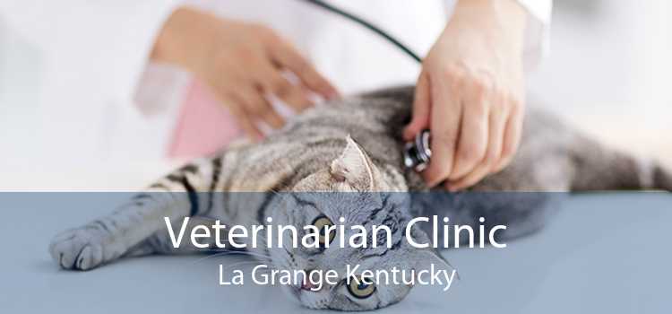 Veterinarian Clinic La Grange Kentucky