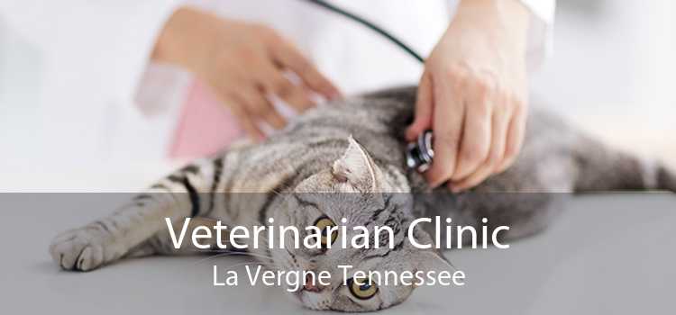 Veterinarian Clinic La Vergne Tennessee