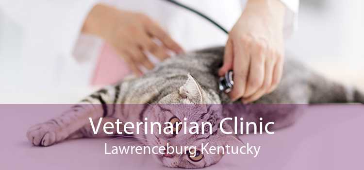 Veterinarian Clinic Lawrenceburg Kentucky