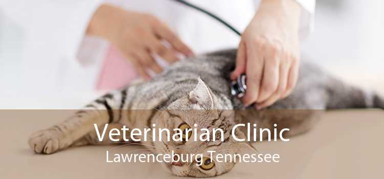 Veterinarian Clinic Lawrenceburg Tennessee