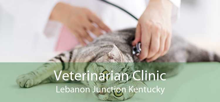 Veterinarian Clinic Lebanon Junction Kentucky