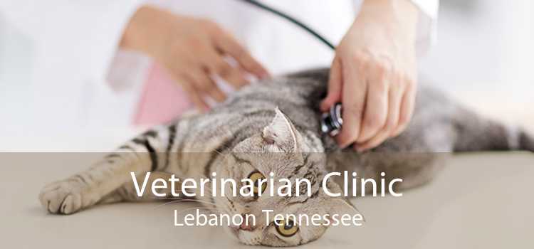Veterinarian Clinic Lebanon Tennessee