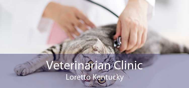 Veterinarian Clinic Loretto Kentucky