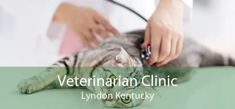 Veterinarian Clinic Lyndon Kentucky