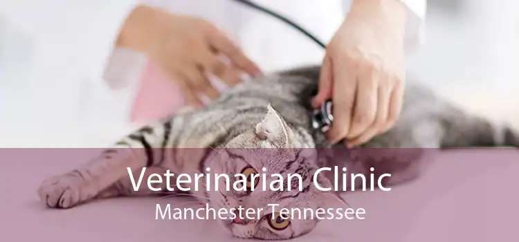 Veterinarian Clinic Manchester Tennessee
