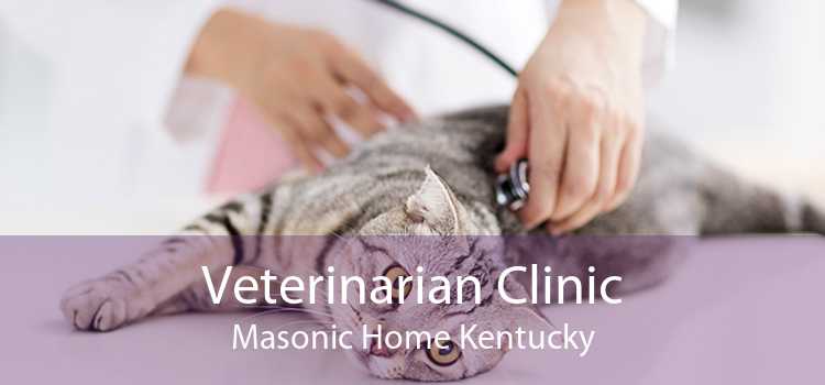 Veterinarian Clinic Masonic Home Kentucky