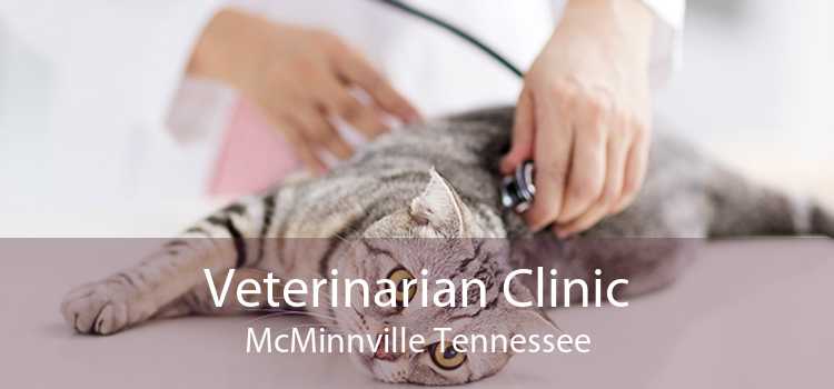 Veterinarian Clinic McMinnville Tennessee
