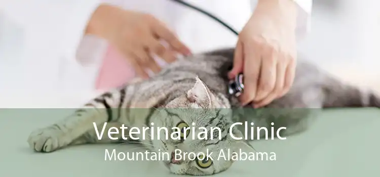 Veterinarian Clinic Mountain Brook Alabama