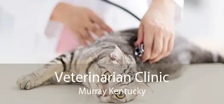 Veterinarian Clinic Murray Kentucky