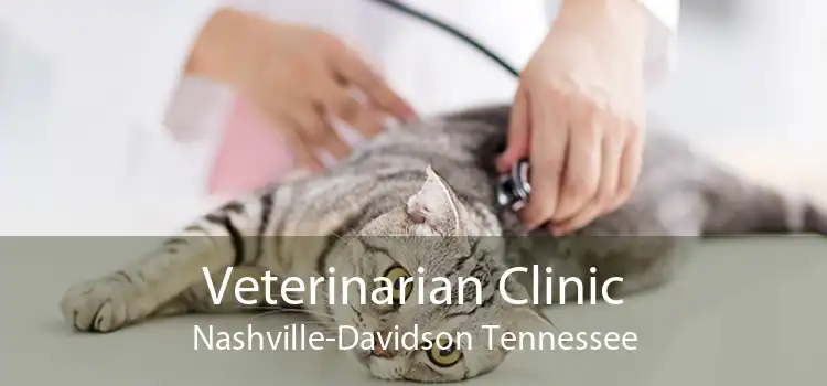 Veterinarian Clinic Nashville-Davidson Tennessee