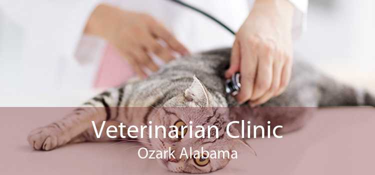 Veterinarian Clinic Ozark Alabama