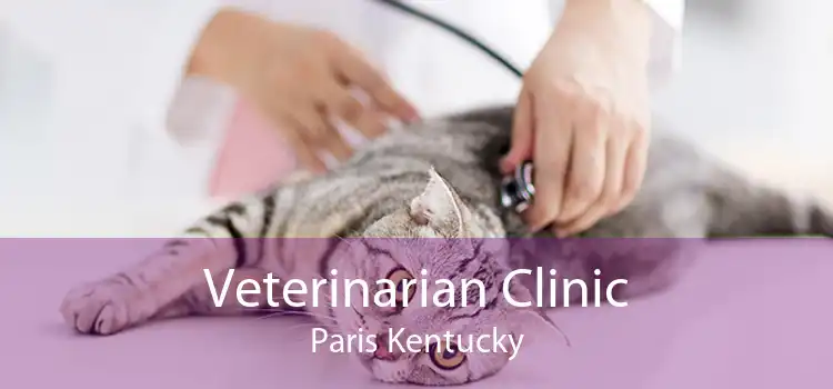 Veterinarian Clinic Paris Kentucky
