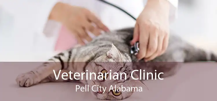 Veterinarian Clinic Pell City Alabama