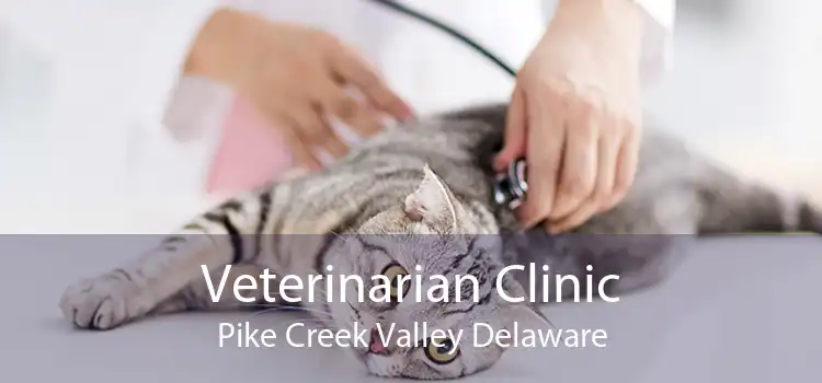 Veterinarian Clinic Pike Creek Valley Delaware