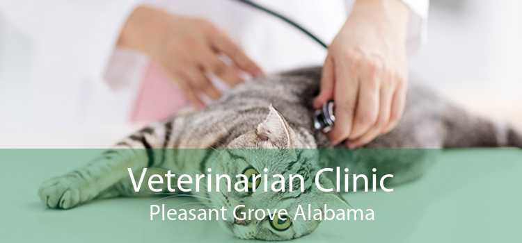 Veterinarian Clinic Pleasant Grove Alabama