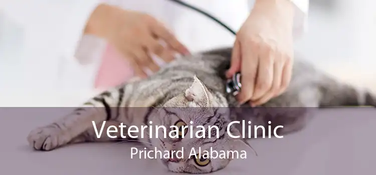 Veterinarian Clinic Prichard Alabama