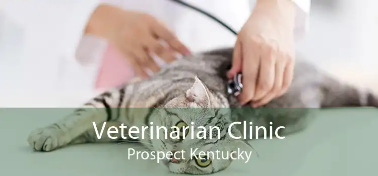 Veterinarian Clinic Prospect Kentucky