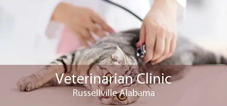 Veterinarian Clinic Russellville Alabama