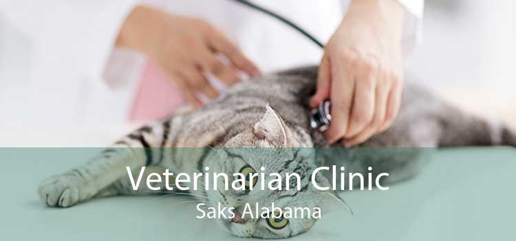 Veterinarian Clinic Saks Alabama