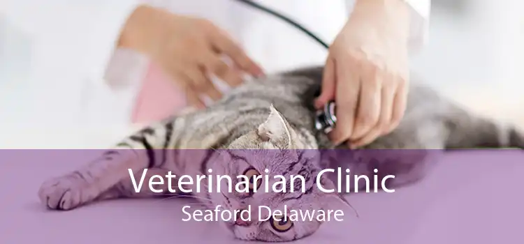 Veterinarian Clinic Seaford Delaware