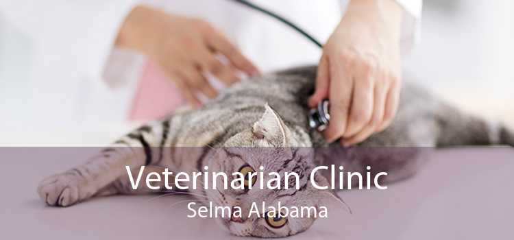 Veterinarian Clinic Selma Alabama