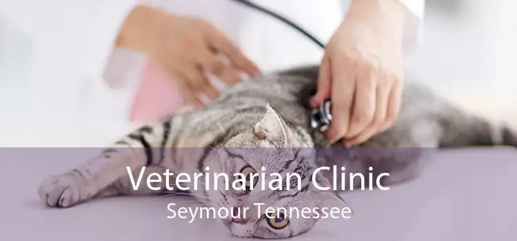 Veterinarian Clinic Seymour Tennessee