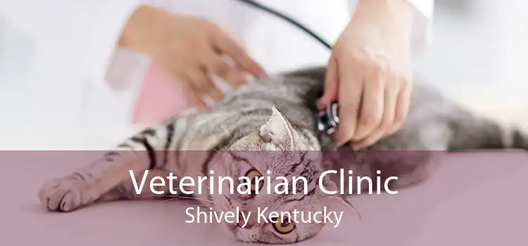 Veterinarian Clinic Shively Kentucky