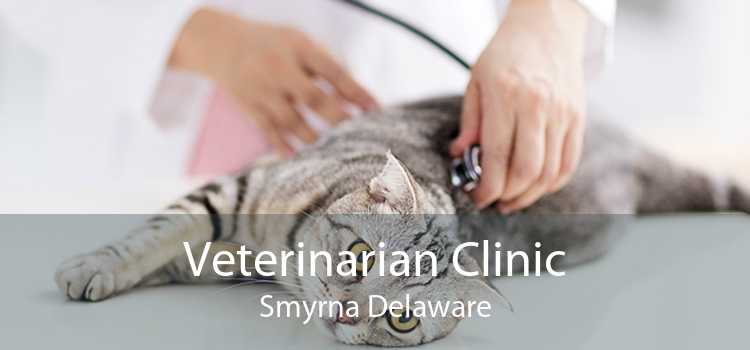 Veterinarian Clinic Smyrna Delaware