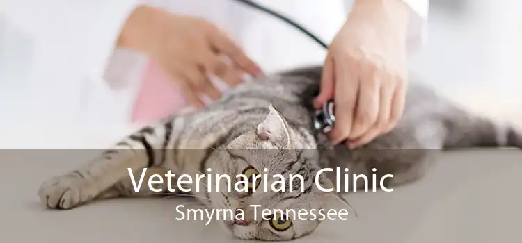 Veterinarian Clinic Smyrna Tennessee