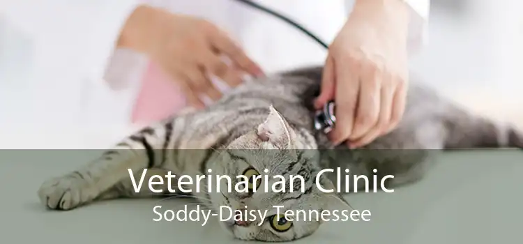 Veterinarian Clinic Soddy-Daisy Tennessee