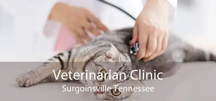 Veterinarian Clinic Surgoinsville Tennessee