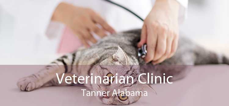 Veterinarian Clinic Tanner Alabama