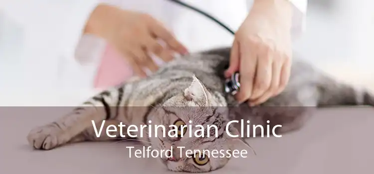 Veterinarian Clinic Telford Tennessee