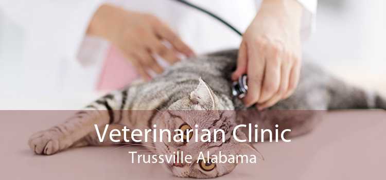 Veterinarian Clinic Trussville Alabama