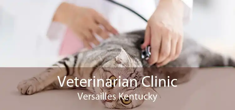 Veterinarian Clinic Versailles Kentucky
