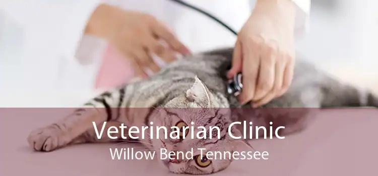 Veterinarian Clinic Willow Bend Tennessee