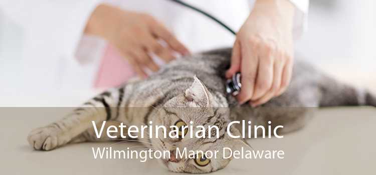 Veterinarian Clinic Wilmington Manor Delaware