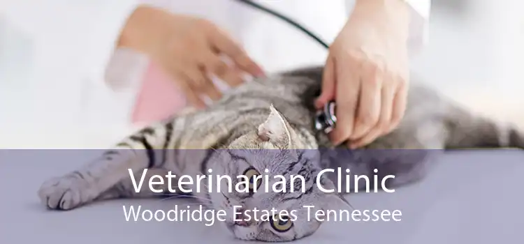 Veterinarian Clinic Woodridge Estates Tennessee